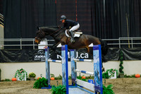 2025 - Haylee - Royal West - Wednesday October 22nd - 07387