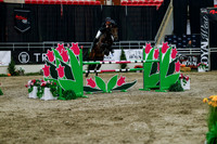 2025 - Haylee - Royal West - Wednesday October 22nd - 09468