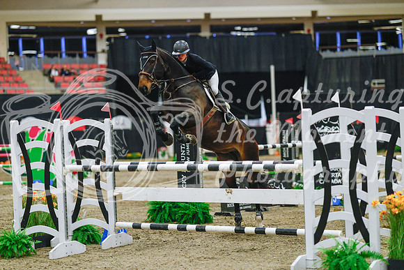 2025 - Haylee - Royal West - Wednesday October 22nd - 07392