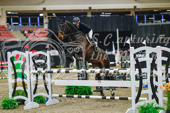 2025 - Haylee - Royal West - Wednesday October 22nd - 07393