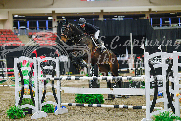 2025 - Haylee - Royal West - Wednesday October 22nd - 07395