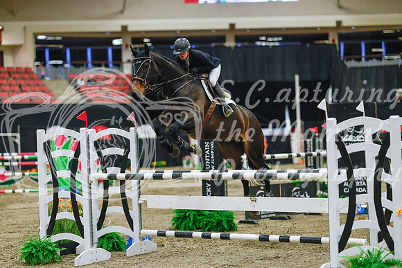 2025 - Haylee - Royal West - Wednesday October 22nd - 07396