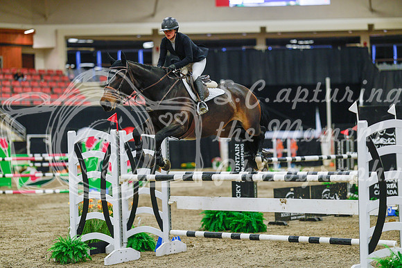 2025 - Haylee - Royal West - Wednesday October 22nd - 07403