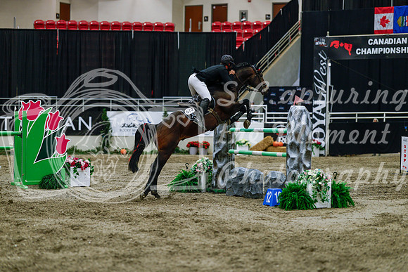 2025 - Haylee - Royal West - Wednesday October 22nd - 09537