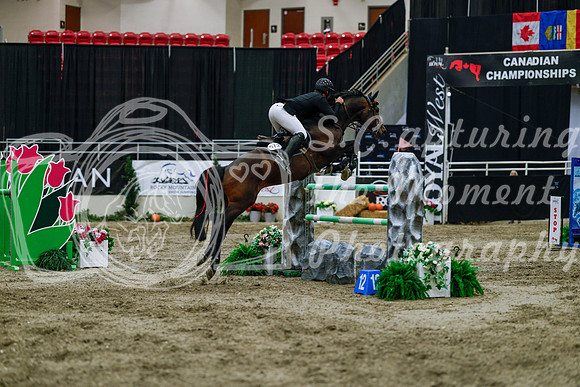 2025 - Haylee - Royal West - Wednesday October 22nd - 09539