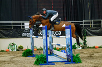 2025 - Haylee - Royal West - Wednesday October 22nd - 07079