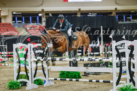 2025 - Haylee - Royal West - Wednesday October 22nd - 07096