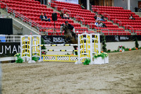 2025 - Haylee - Royal West - Wednesday October 22nd - 04840