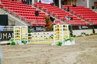 2025 - Haylee - Royal West - Wednesday October 22nd - 02355