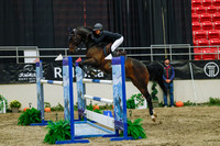 2025 - Haylee - Royal West - Wednesday October 22nd - 07450