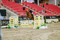2025 - Haylee - Royal West - Wednesday October 22nd - 02359