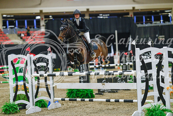 2025 - Haylee - Royal West - Wednesday October 22nd - 07470