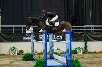 2025 - Haylee - Royal West - Wednesday October 22nd - 06788