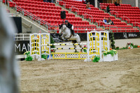 2025 - Haylee - Royal West - Wednesday October 22nd - 02446