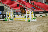 2025 - Haylee - Royal West - Wednesday October 22nd - 02485