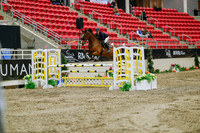 2025 - Haylee - Royal West - Wednesday October 22nd - 02487