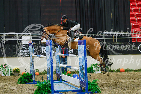 2025 - Haylee - Royal West - Wednesday October 22nd - 07516