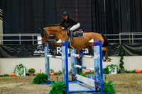 2025 - Haylee - Royal West - Wednesday October 22nd - 07520
