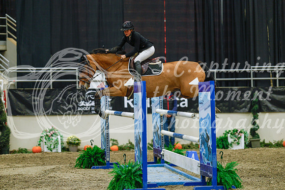 2025 - Haylee - Royal West - Wednesday October 22nd - 07522
