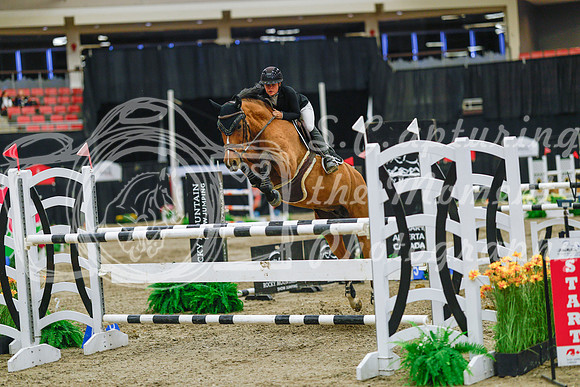 2025 - Haylee - Royal West - Wednesday October 22nd - 07524