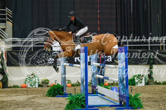2025 - Haylee - Royal West - Wednesday October 22nd - 07523