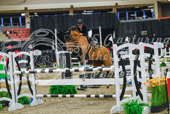 2025 - Haylee - Royal West - Wednesday October 22nd - 07526