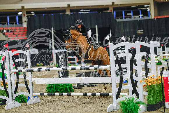2025 - Haylee - Royal West - Wednesday October 22nd - 07525