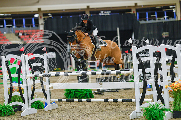 2025 - Haylee - Royal West - Wednesday October 22nd - 07530