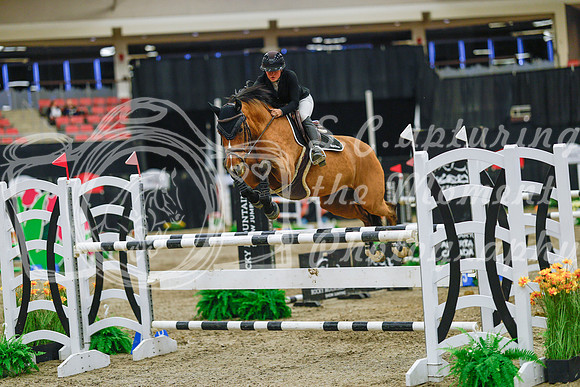 2025 - Haylee - Royal West - Wednesday October 22nd - 07529