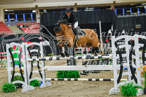 2025 - Haylee - Royal West - Wednesday October 22nd - 07532