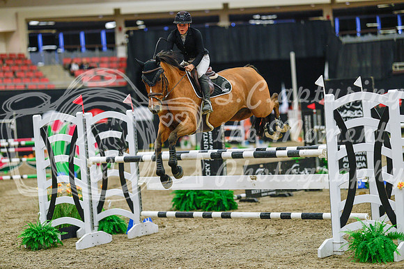 2025 - Haylee - Royal West - Wednesday October 22nd - 07535