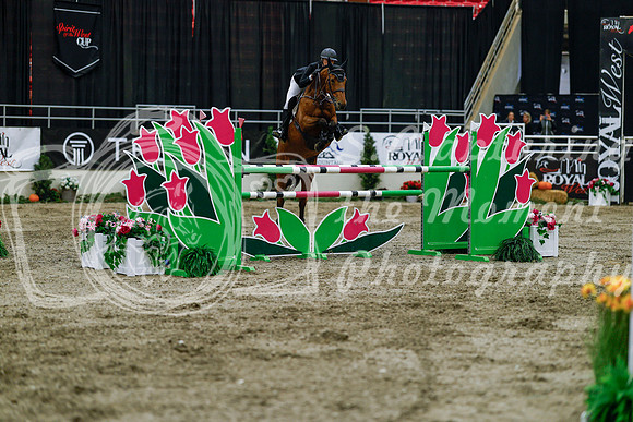 2025 - Haylee - Royal West - Wednesday October 22nd - 09164