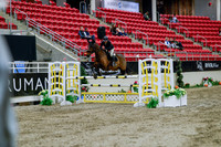 2025 - Haylee - Royal West - Wednesday October 22nd - 05066