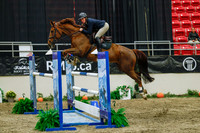 2025 - Haylee - Royal West - Wednesday October 22nd - 07576