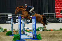 2025 - Haylee - Royal West - Wednesday October 22nd - 07577