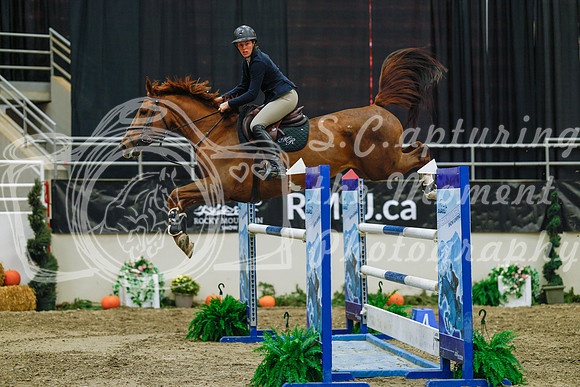 2025 - Haylee - Royal West - Wednesday October 22nd - 07586