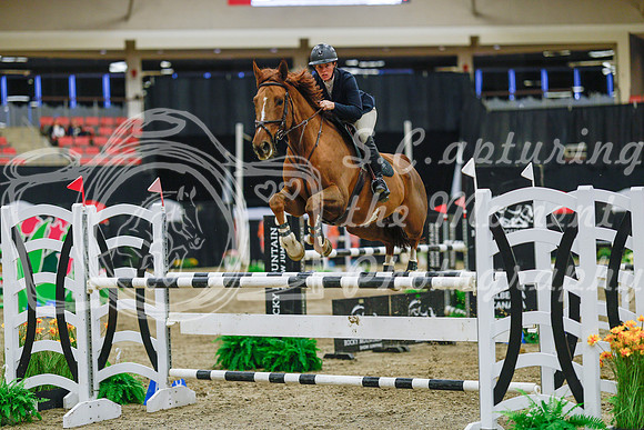 2025 - Haylee - Royal West - Wednesday October 22nd - 07590