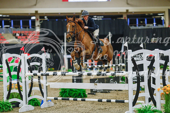 2025 - Haylee - Royal West - Wednesday October 22nd - 07591