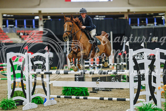 2025 - Haylee - Royal West - Wednesday October 22nd - 07593
