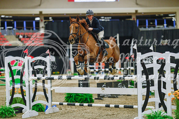 2025 - Haylee - Royal West - Wednesday October 22nd - 07592