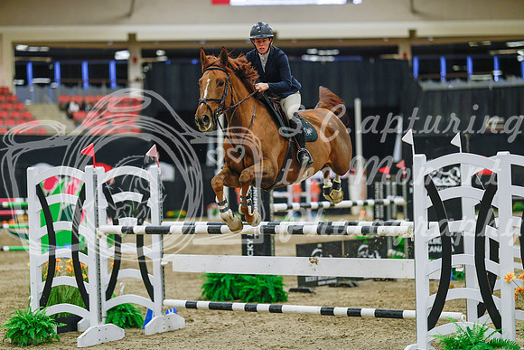 2025 - Haylee - Royal West - Wednesday October 22nd - 07594