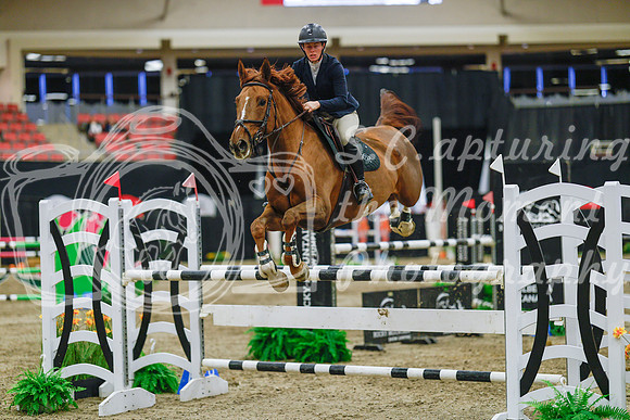 2025 - Haylee - Royal West - Wednesday October 22nd - 07595