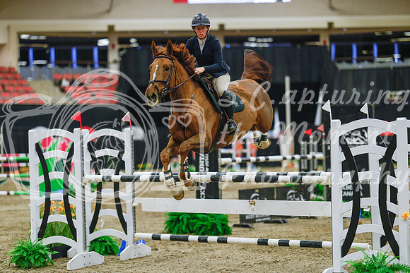 2025 - Haylee - Royal West - Wednesday October 22nd - 07596