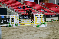 2025 - Haylee - Royal West - Wednesday October 22nd - 05126