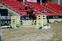 2025 - Haylee - Royal West - Wednesday October 22nd - 05128