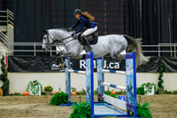 2025 - Haylee - Royal West - Wednesday October 22nd - 07662