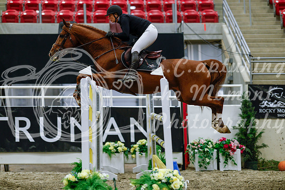 2025 - Haylee - Royal West - Wednesday October 22nd - 08663