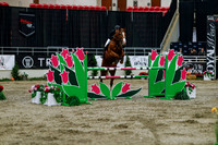 2025 - Haylee - Royal West - Wednesday October 22nd - 08670