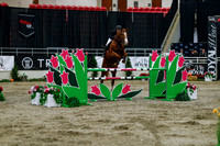 2025 - Haylee - Royal West - Wednesday October 22nd - 08671