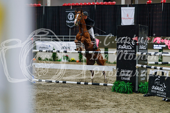 2025 - Haylee - Royal West - Wednesday October 22nd - 08683